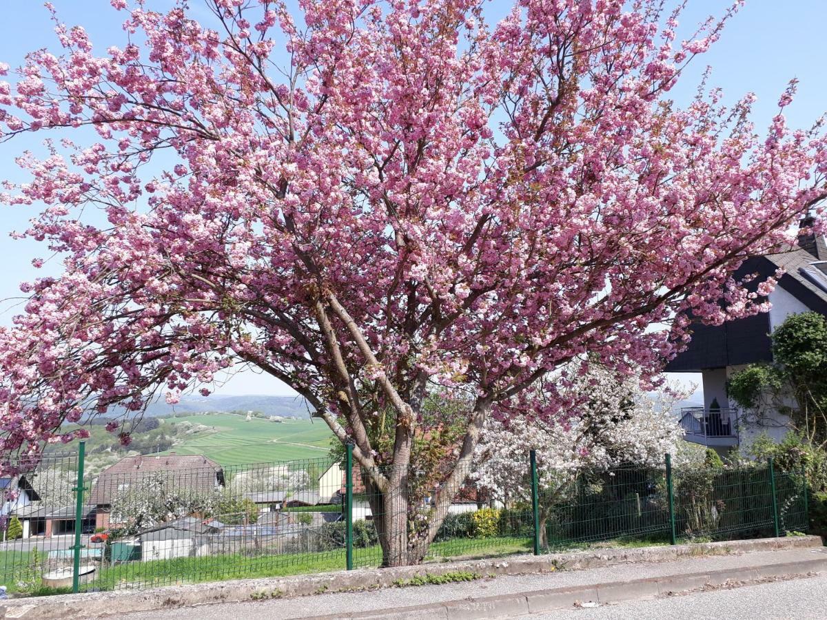 Haus Der Rosen Apartment Boppard Bagian luar foto